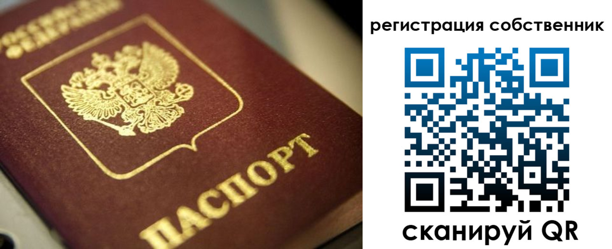 прописка в Жуковском